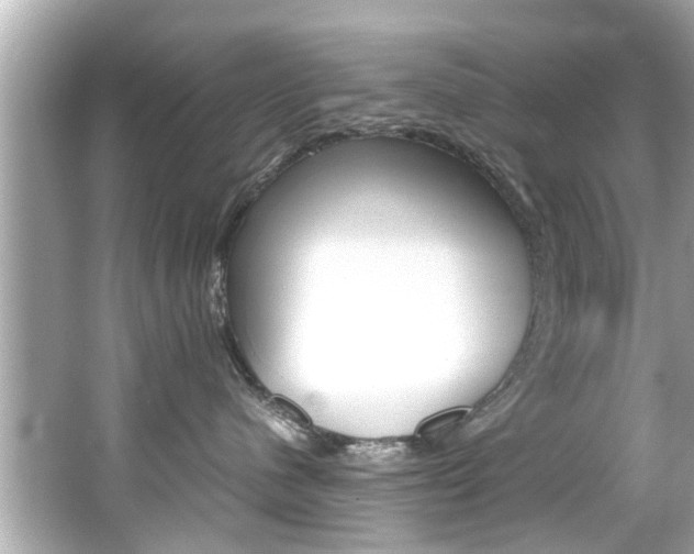 X0000066540480200603171100