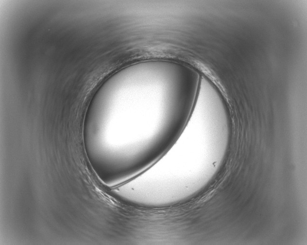 X0000066540481200603171059