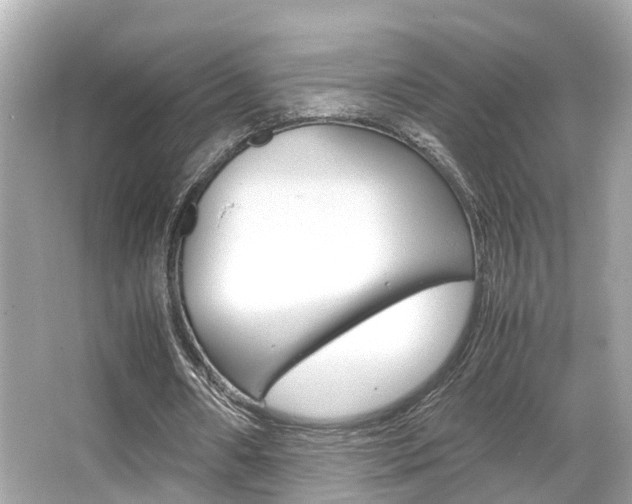 X0000066540482200603171059