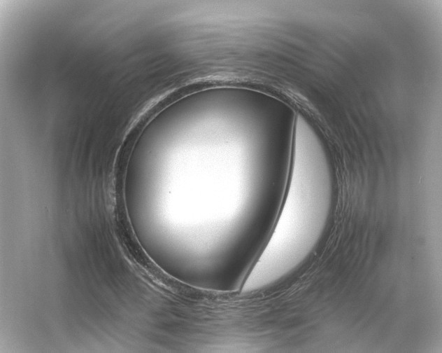 X0000066540484200603171059