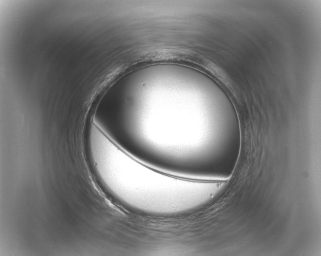 X0000066540485200603171059