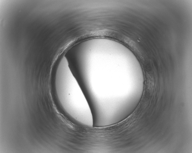 X0000066540486200603171059