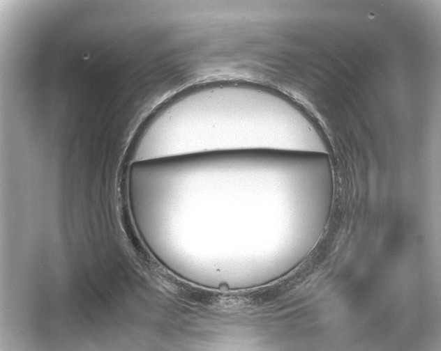 X0000066540487200603171059