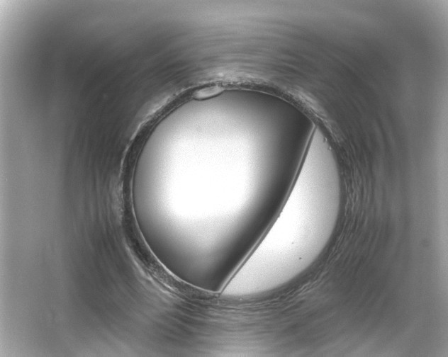 X0000066540488200603171059