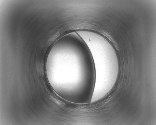 X0000066540489200603171059