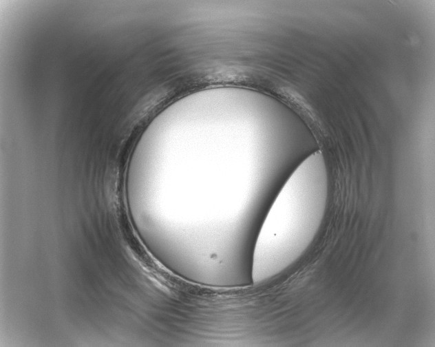 X0000066540490200603171059