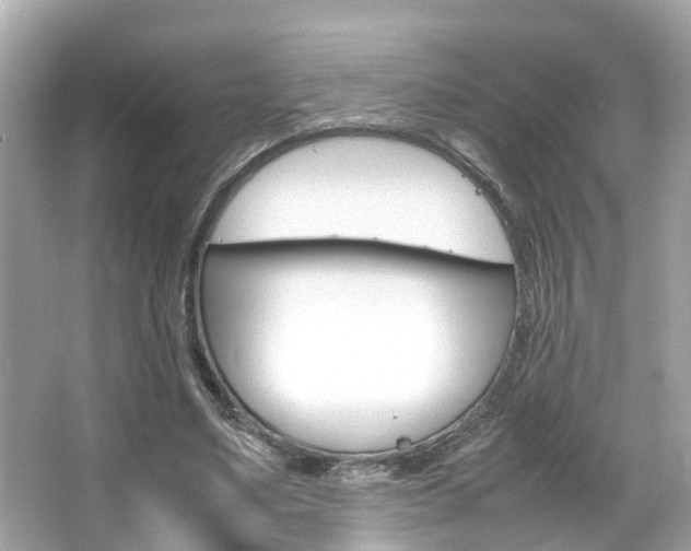 X0000066540491200603171059