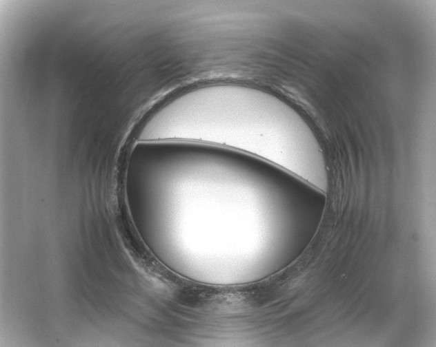 X0000066540492200603171059