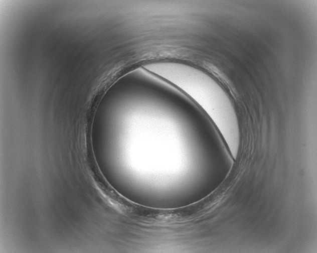 X0000066540493200603171059