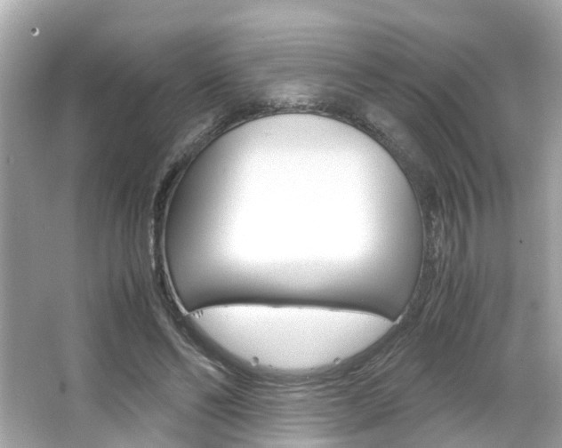 X0000066540494200603171059