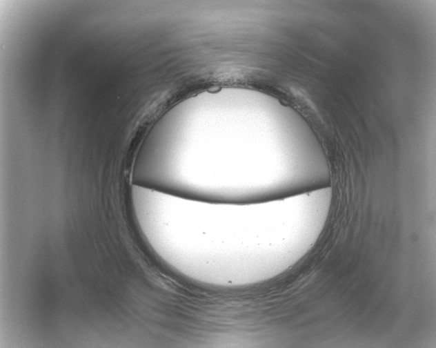 X0000066540495200603171059