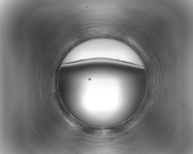 X0000066540497200603171059