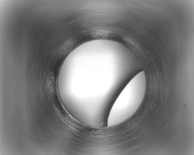 X0000066540498200603171059