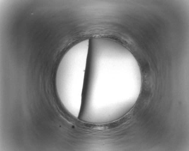 X0000066540499200603171059