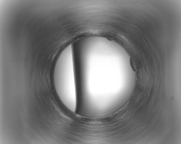 X0000066540500200603171059