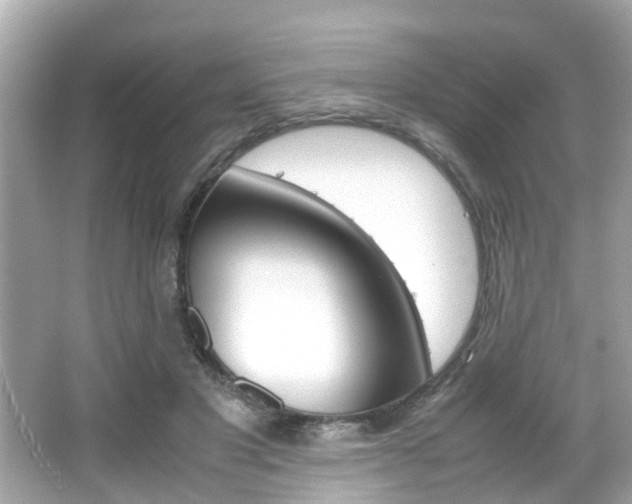 X0000066540501200603171059