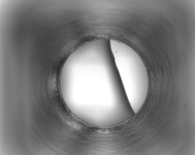 X0000066540502200603171059