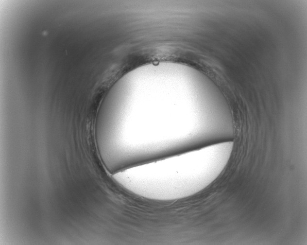 X0000066540503200603171059