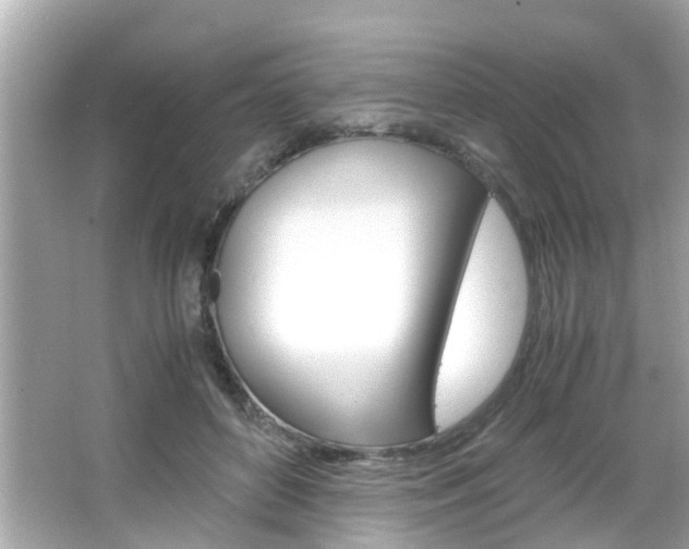 X0000066540504200603171059