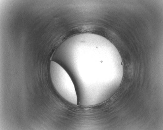 X0000066540506200603171059