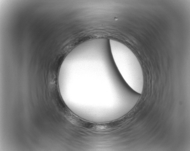 X0000066540507200603171059