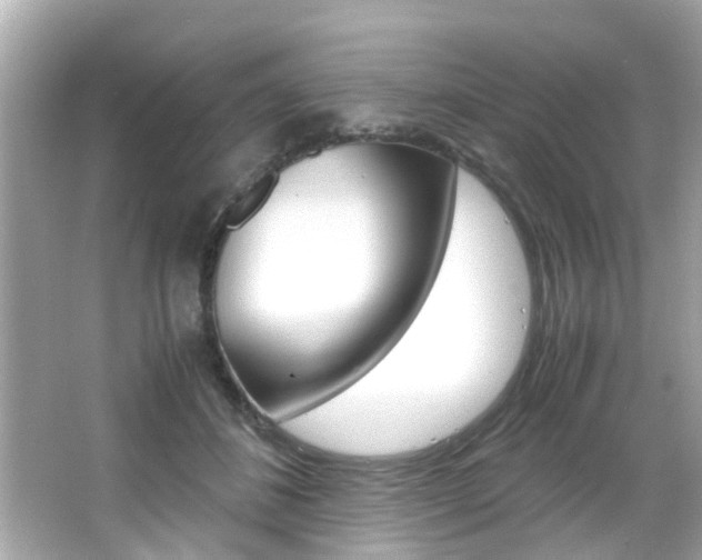 X0000066540508200603171059