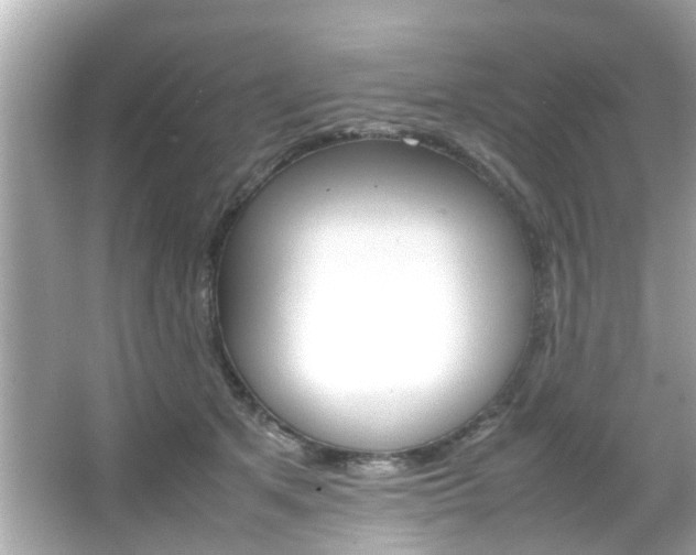 X0000066540513200603171058