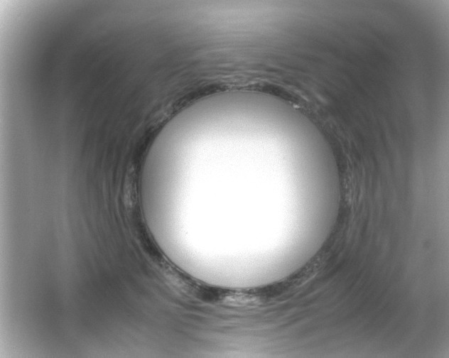 X0000066540515200603171058