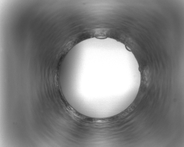 X0000066540522200603171058