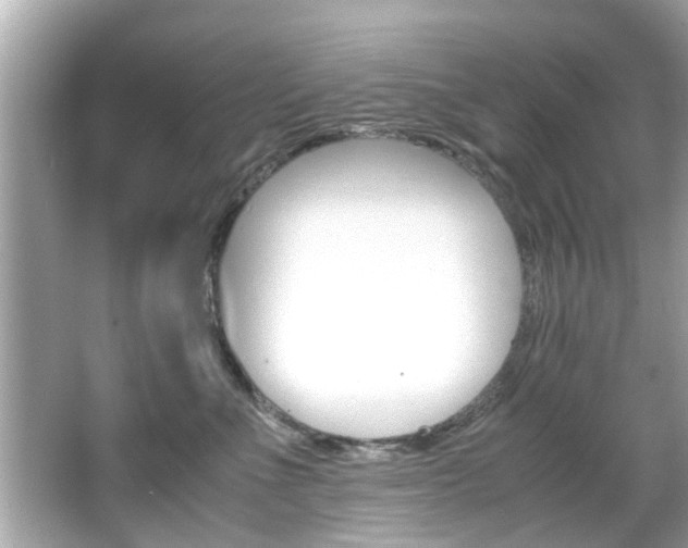 X0000066540523200603171058