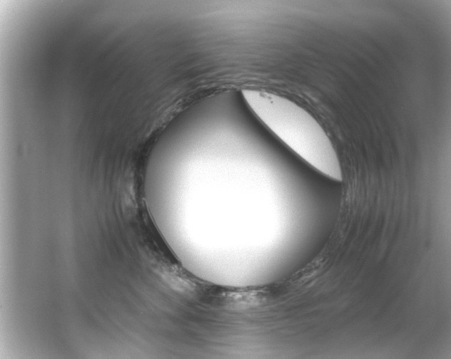 X0000066540524200603171058