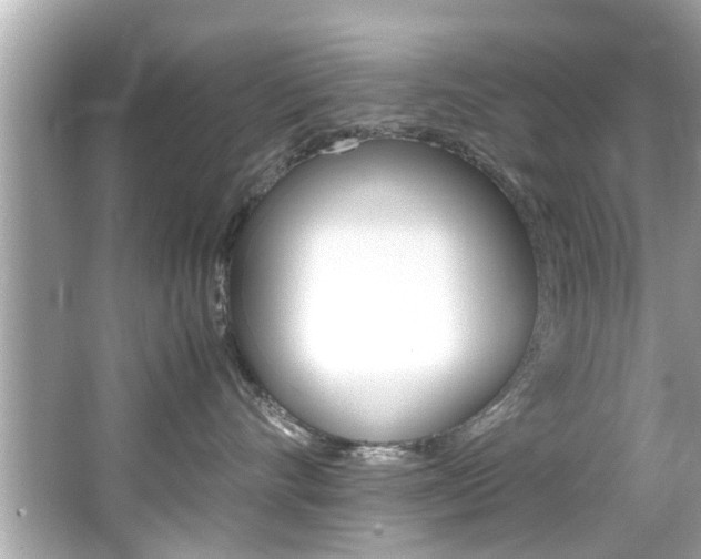 X0000066540528200603171058
