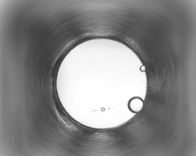 X0000066540534200603171057