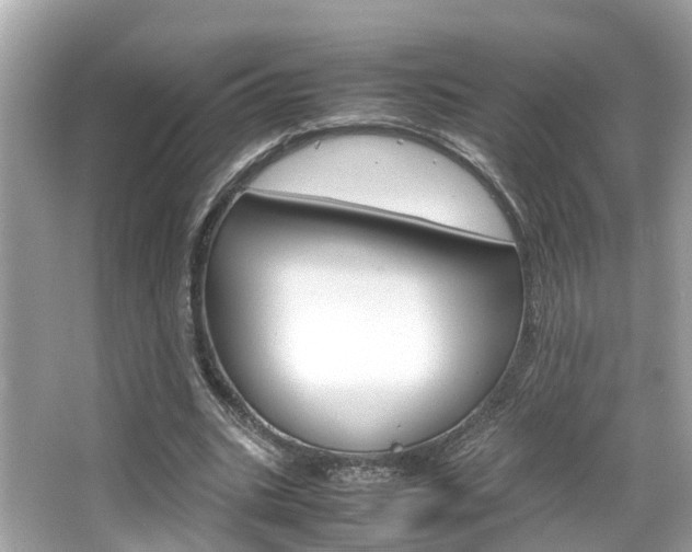 X0000066540535200603171057