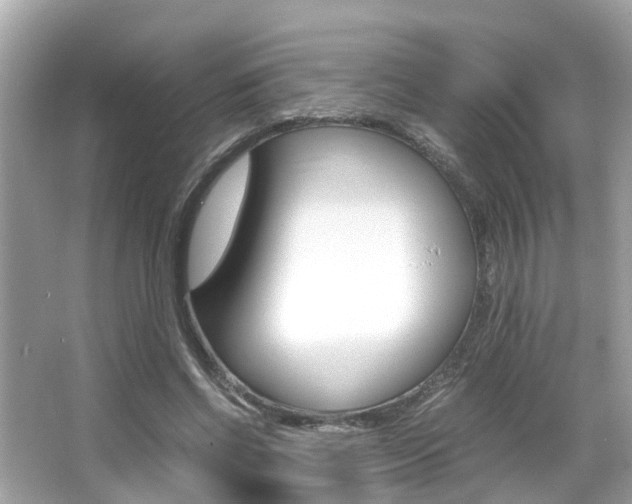 X0000066540542200603171058