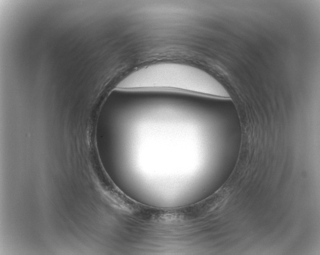 X0000066540546200603171058