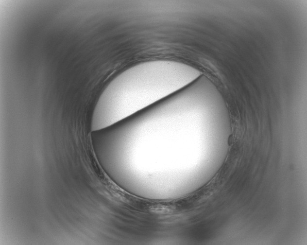 X0000066540549200603171058