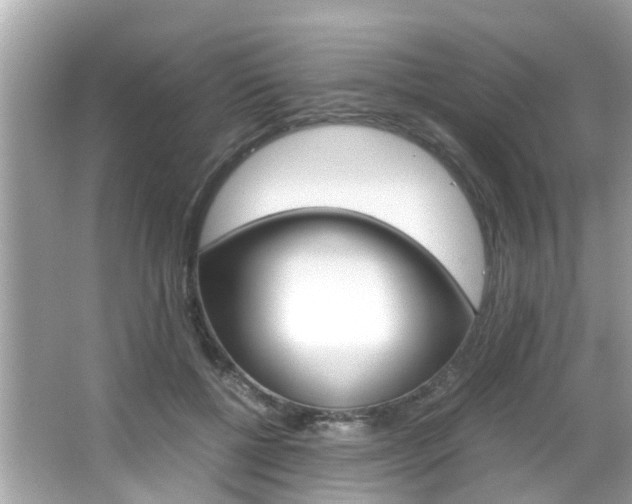 X0000066540552200603171058