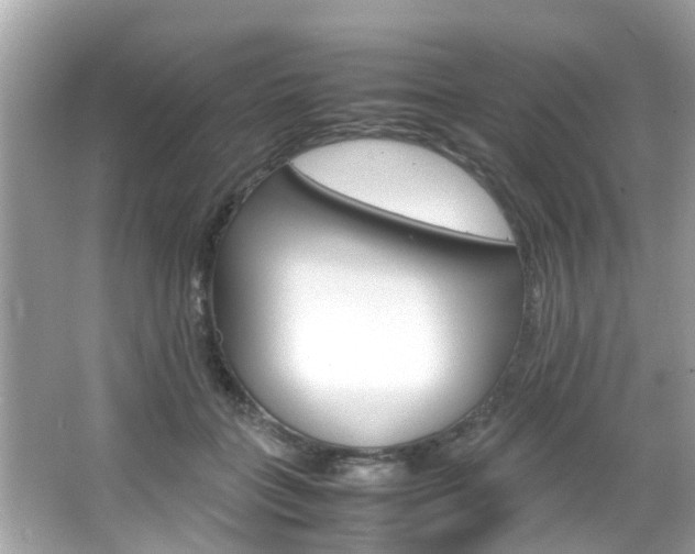 X0000066540555200603171058
