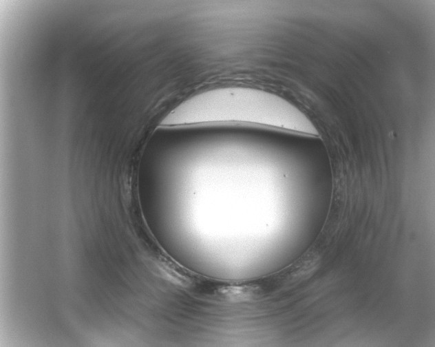 X0000066540558200603171058