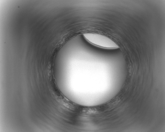 X0000066540559200603171058