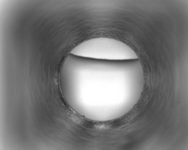 X0000066540561200603171058