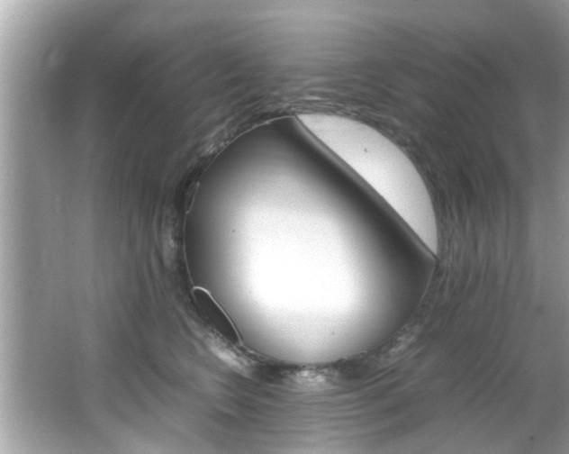 X0000066540566200603171058