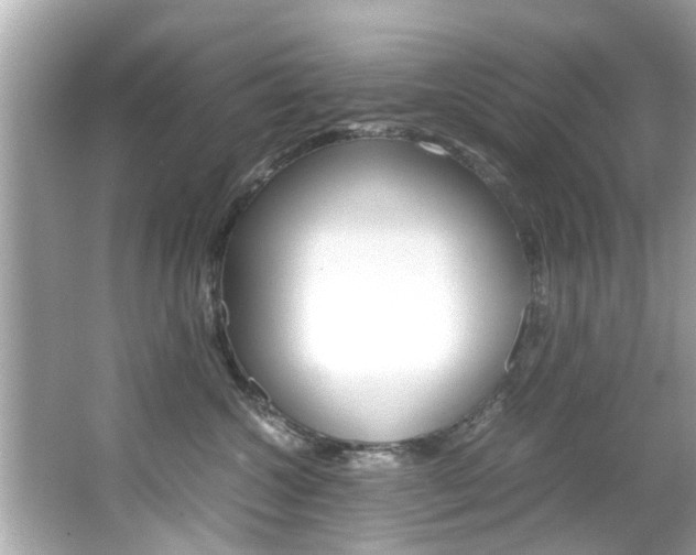 X0000066540572200603171058