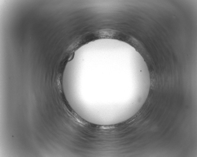 X0000066540573200603171058