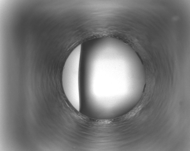 X0000066540576200603171058