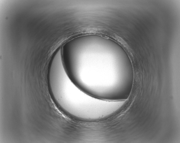 X0000066540577200603171057
