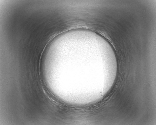 X0000066540579200603171057