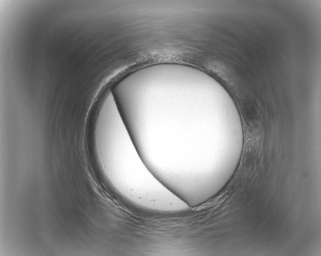 X0000066540583200603171057