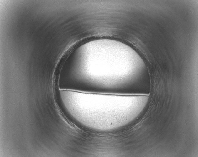 X0000066540584200603171057